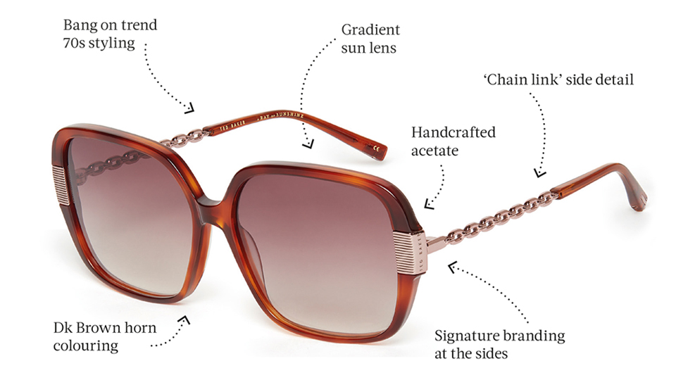 anatomy glasses