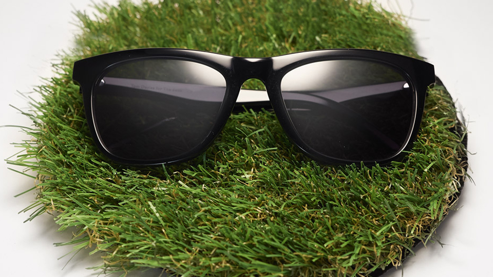 frames and grass