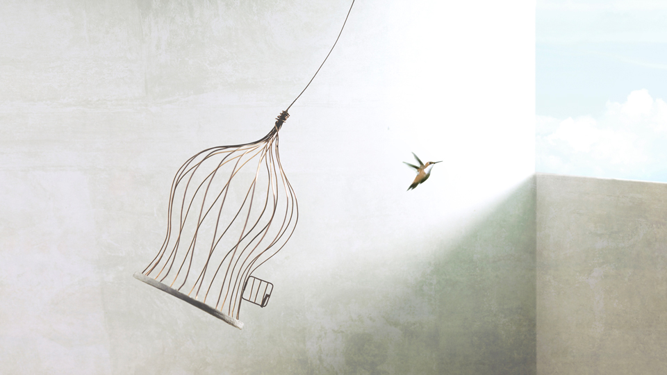 bird flying away