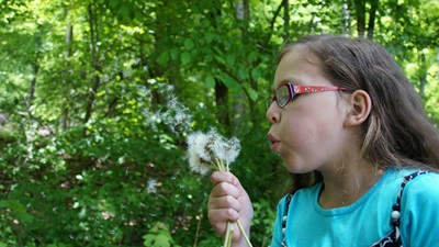 young girl blowing dandelions