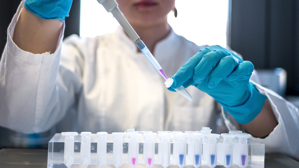 Scientistinlab