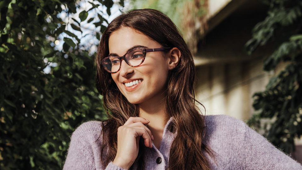 Inspecsecoframes