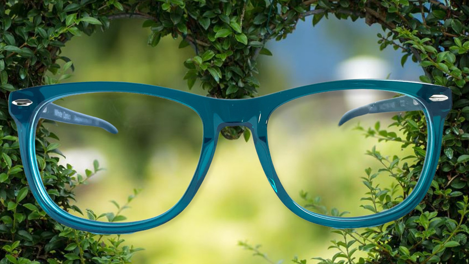 blue frames