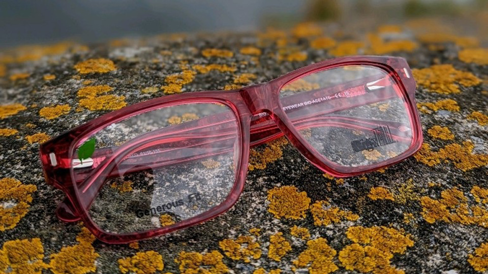 A pair of red acetate frames rest on a concrete wall, marked with colourful lichen, overlooking a dock of boats in the background