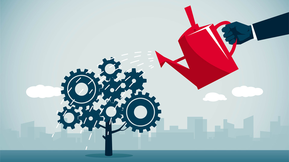Tree cog and watering can