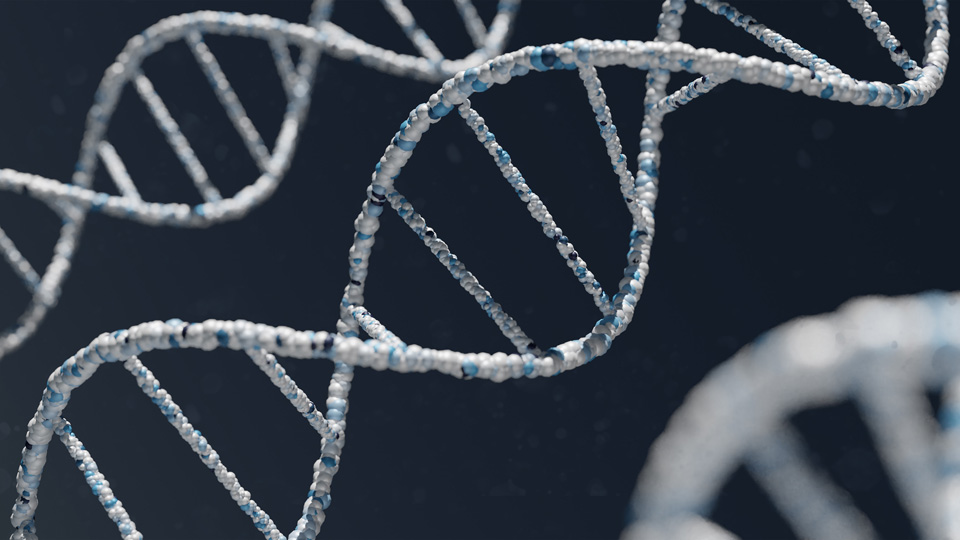 AMD patients at heightened risk of COVID-19