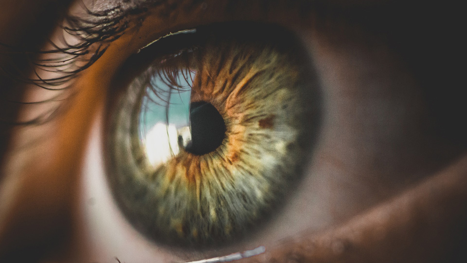 green brown eye