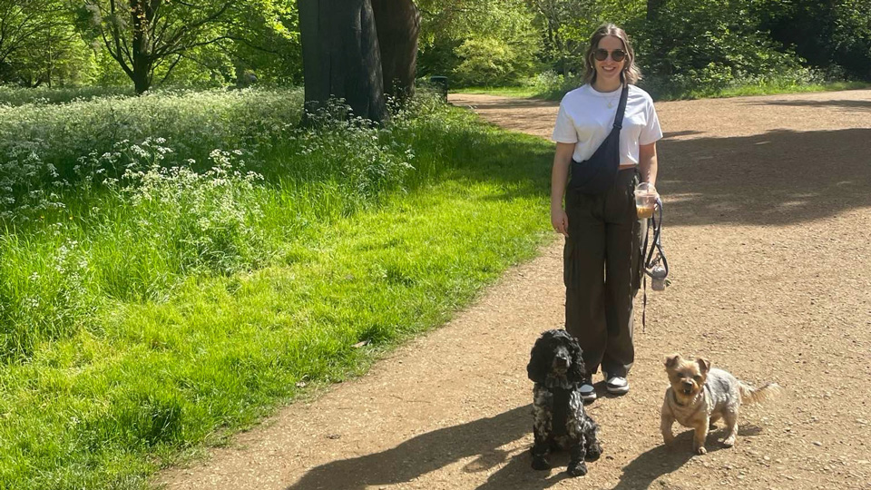 woman walking two dogs in a park