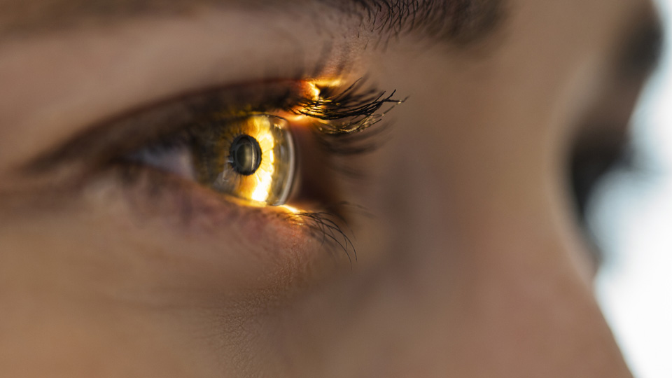 Light beam is shining through retina and lens during an eye exam