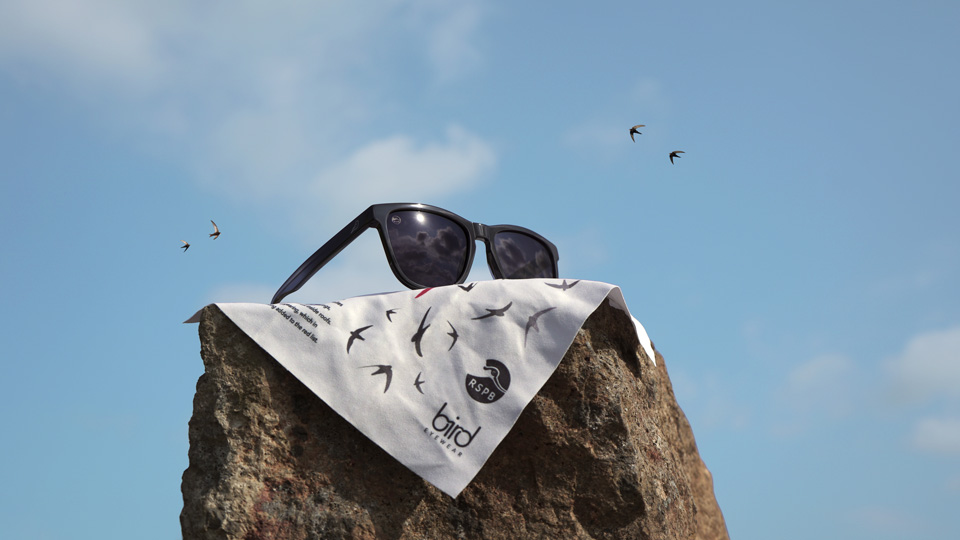 The sleek black square sunglasses inspired by the shape of the swift in flight