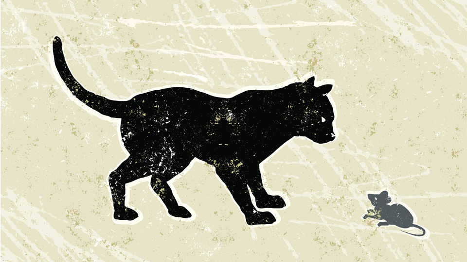 animation of a cat and mouse