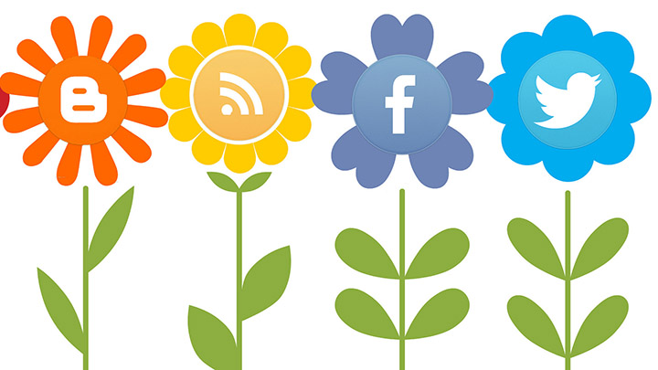 Social media flowers