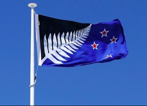 New Zealand flag 2 option