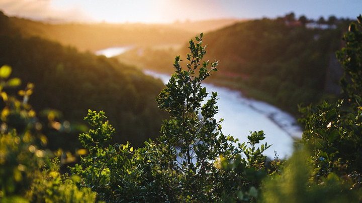 Landscape 1
