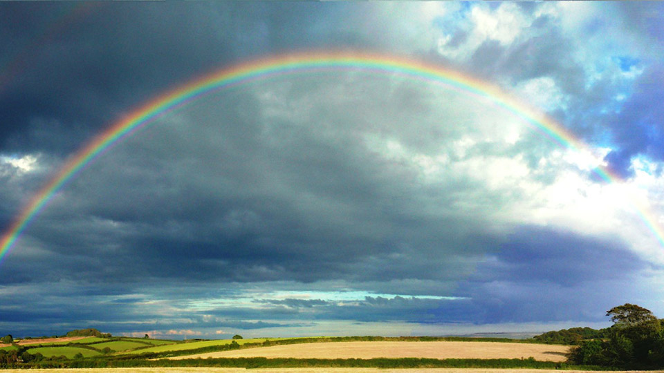 Rainbow