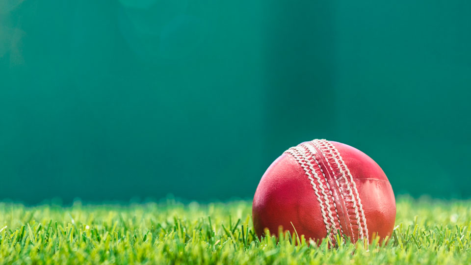 cricket ball