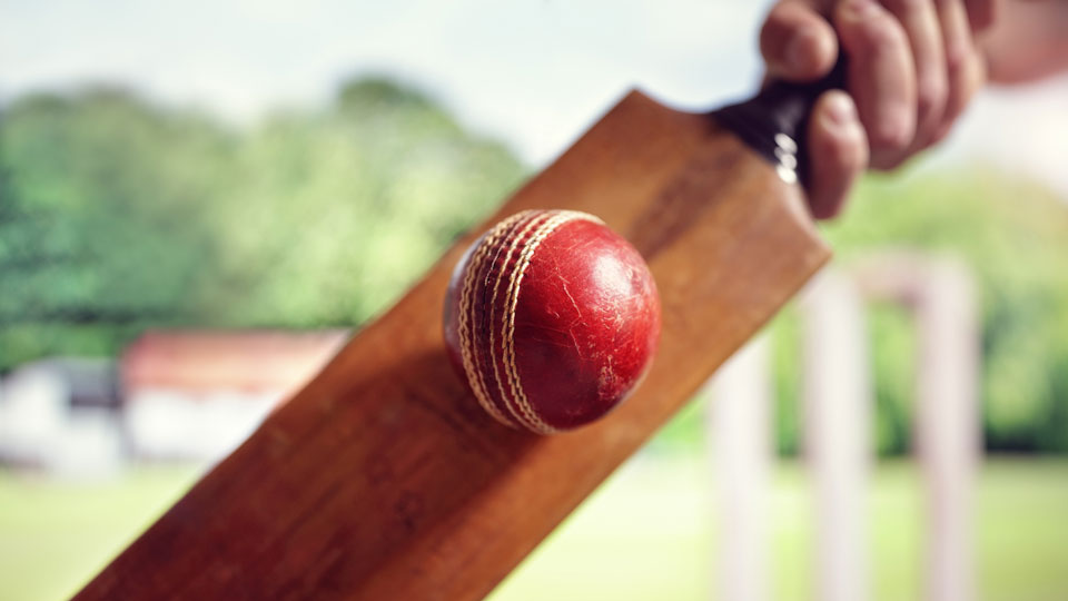 Cricket ball and bat