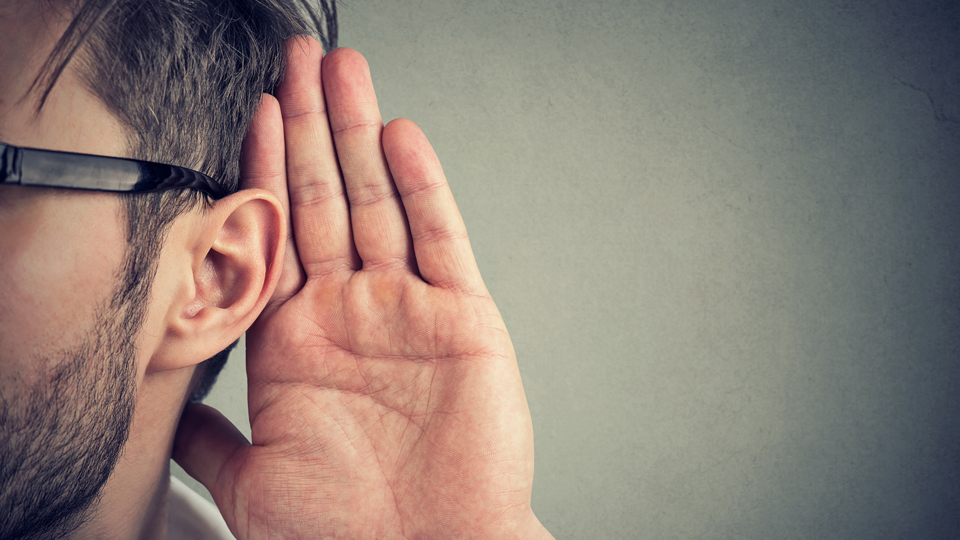Ear