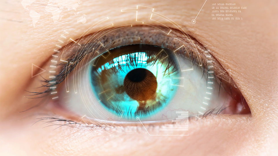 Eye