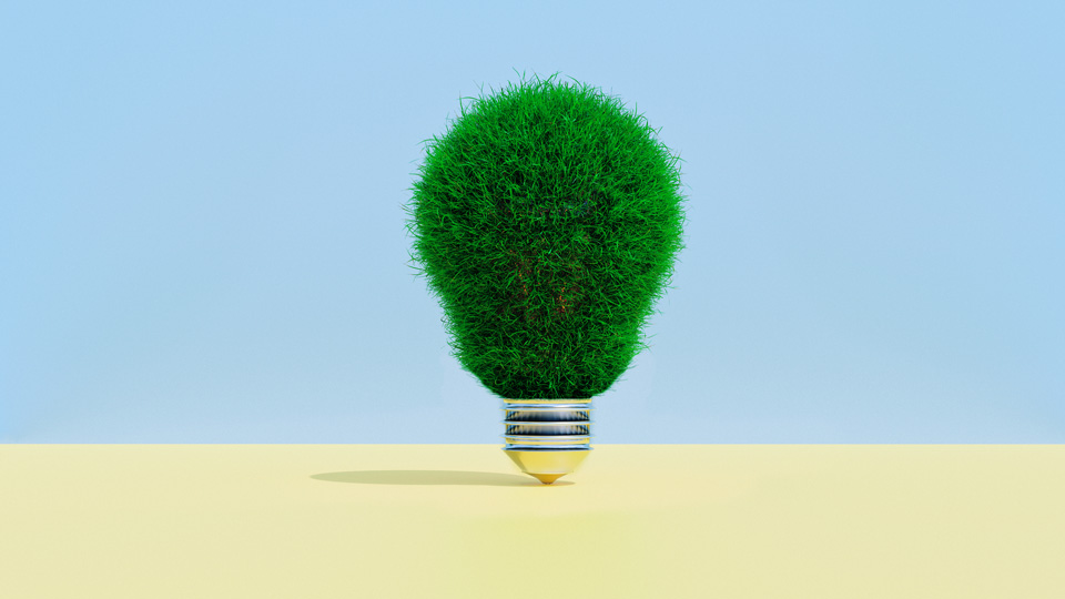 green bulb