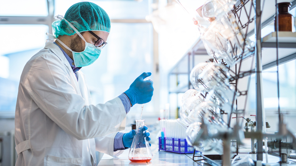lab